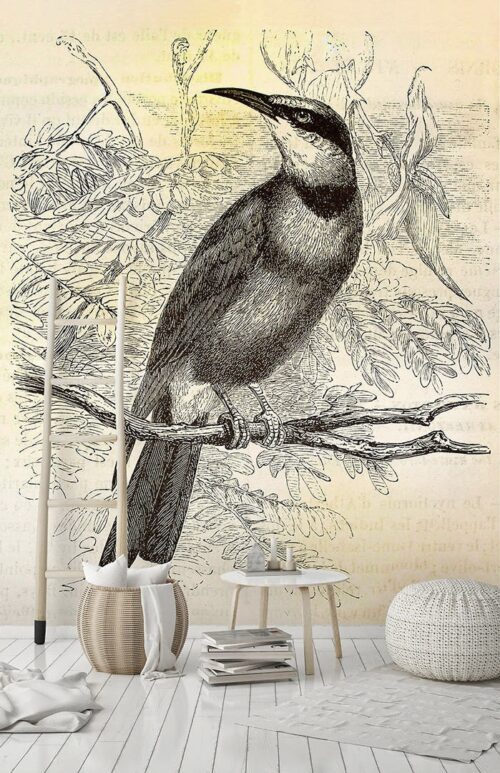 VINTAGE BIRDS 2 110431