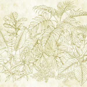 FERN GARDEN 1 111091