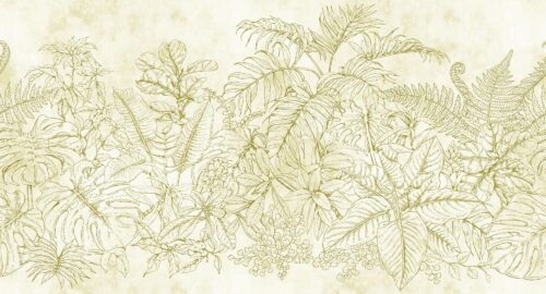 FERN GARDEN 1 111091