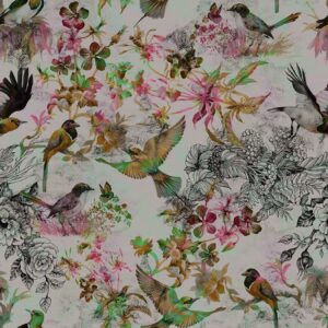 FUNKY BIRDS 1 110181