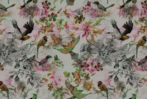 FUNKY BIRDS 1 110181